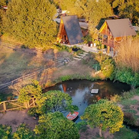 Casa Da Avo - Vale Da Silva Villas Albergaria-a-Velha Eksteriør bilde