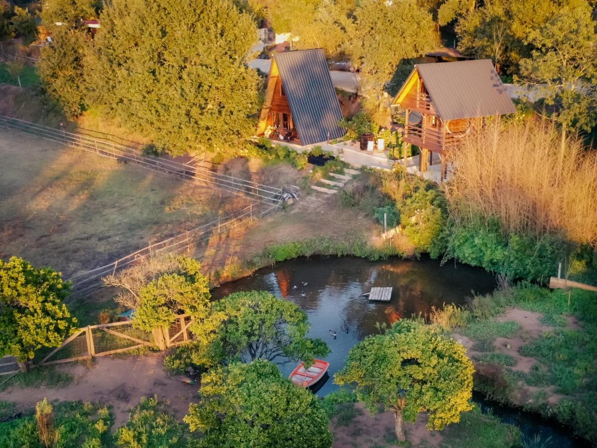 Casa Da Avo - Vale Da Silva Villas Albergaria-a-Velha Eksteriør bilde