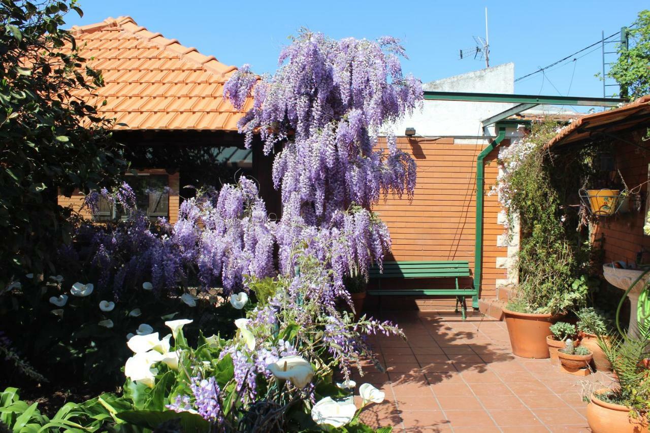 Casa Da Avo - Vale Da Silva Villas Albergaria-a-Velha Eksteriør bilde
